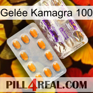 Gelée Kamagra 100 new12